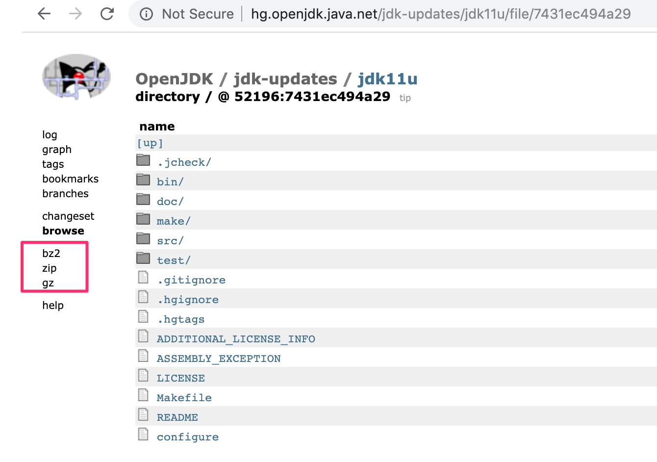 jdk11 download